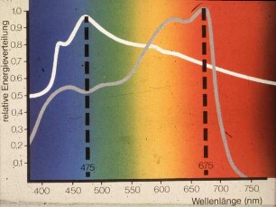 Wellenlänge und relative Energieverteilung