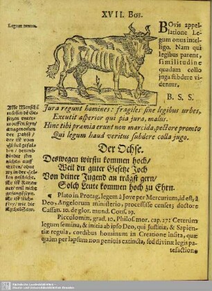 XVII. Bos