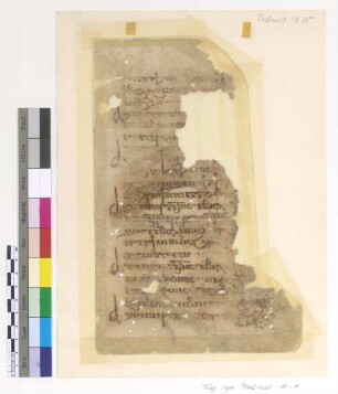 [Psalmodia] : Fragm. copt. Pischoi Psalmod. 18