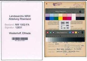 Entnazifizierung Elfriede Westerhoff, geb. 02.02.1917 (Filialverwalterin)