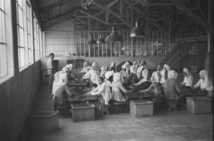 Sortiersaal der Teefabrik "Sedep" : Arbeiterinnen in einer Fabrikhalle beim sortieren des Tees