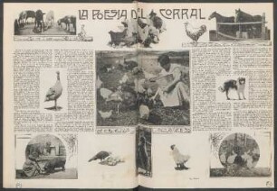 La poesía del corral