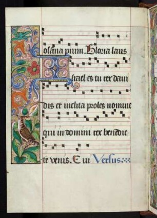 Bordüre, Zierintiale: I(srael)