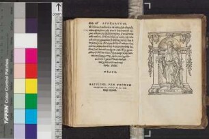 Illustration: Paulus (Holzschnitt)