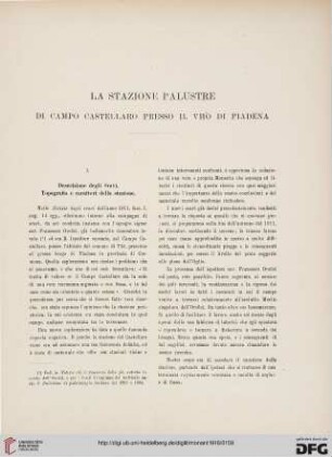 24: La stazione palustre di campo Castellaro presso il Vhò di Piadena