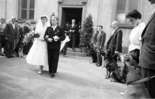 Heirat eines jungen Paares in der Karl-Friedrich-Gedächtniskirche mit Gratulation von Mitgliedern und Hunden eines Hundesportvereins.