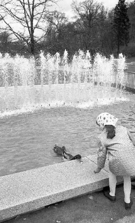 Füttern der Enten bei der neuen Wasserwand am südlichen Eingang zum Stadtgarten.