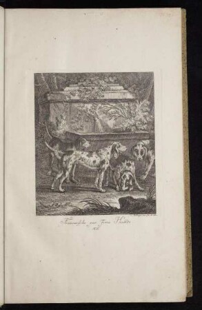 Francoesische par Force Hunde. N. 6.