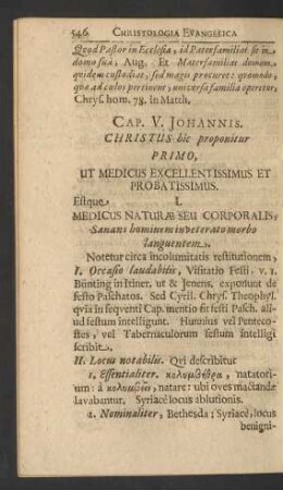 Cap. V. Johannis. Christus hic proponitur ...