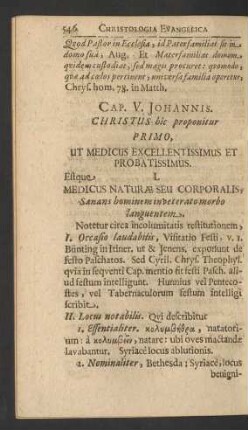 Cap. V. Johannis. Christus hic proponitur ...