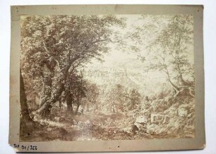 Georg Maria Eckert: Heidelberger Schloss
