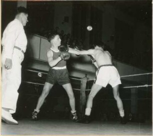 Boxkampf