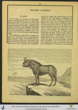 Histoire naturelle.