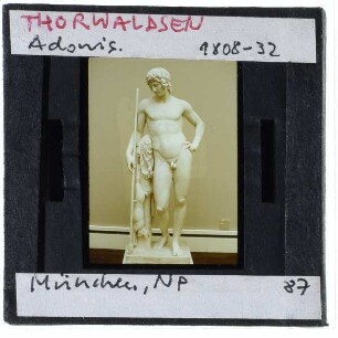 Thorvaldsen, Adonis