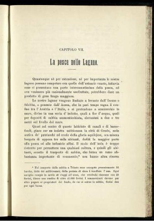 Capitolo VII. La pesca nelle Lagune.