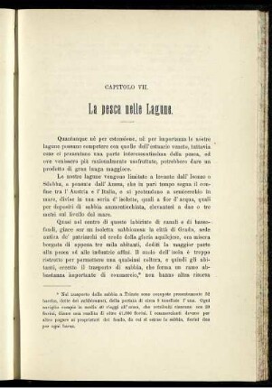 Capitolo VII. La pesca nelle Lagune.