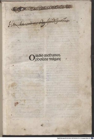 Ovidio methamorphoseos vulgare