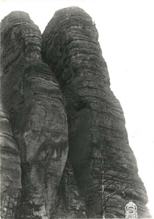 Sächsische Schweiz, Rathener Gebiet. Vexierturm. Seilschaft Willy Benke im oberen Teil der Weinertwand (VIIa [VIIb])