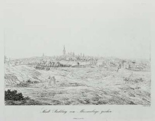 Stadt Radeburg vom Meissnerberge gesehen
