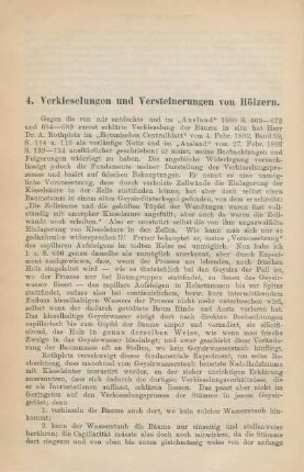 4. Verkieselungen und Versteinerungen von Hölzern