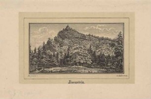 Der Felsgipfel Ilsestein, auch Ilsenstein, bei Ilsenburg im Harz in Sachsen-Anhalt