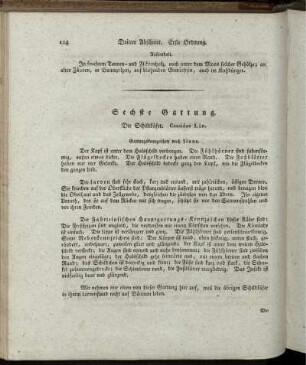 Sechste Gattung. Die Schildkäfer. Cassidae Lin.