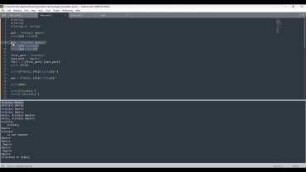 Variables and Data Types
