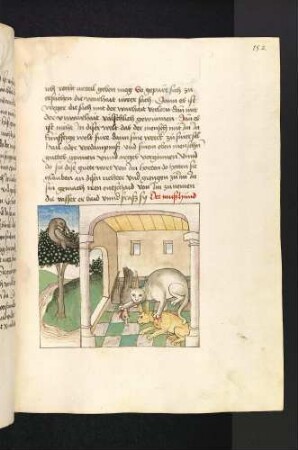 Katze, die der Richter ist, tötet Hase und Vogel in ihrem Gemach; (Kapitel V: Von den Raben und den Aaren).