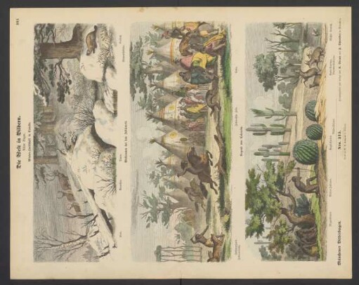 Die Welt in Bildern, achter Bogen: Winter-Landschaft in Canada, Wettrennen bei den Indianern, Gegend von Colorado