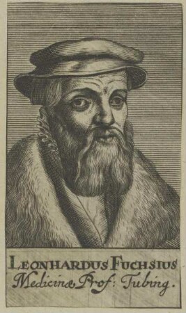 Bildnis des Leonhardus Fuchsius