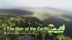 The Skin of the Earth - Where Life Meets Rocks