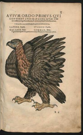Avium Ordo Primus, Qui Continet Aves Rapaces ...
