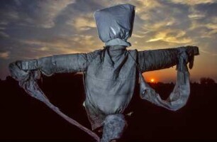 Die Vogelscheuche ist eine in der Regel menschenähnliche Figur aus Holzstangen und alten Kleidungsstücken, die durch ihre Silhouette und Bewegungen im Wind Vögel, beispielsweise Stare und Krähen, von Feldern oder Gärten fernhalten soll