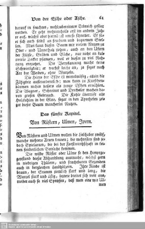 5. Von Rüstern, Ulmen, Ypern