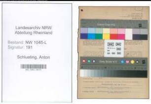 Entnazifizierung Anton Schlueting , geb. 29.01.1901 (Amtsanwalt)