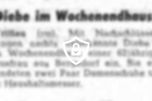 Diebe im Wochenendhaus