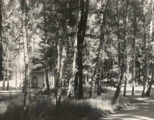 Bad Lausick, Kurpark : Bad Lausick. Kurpark mit Quellenhaus