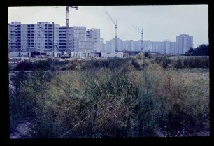 Märkisches Viertel 4.9.71.