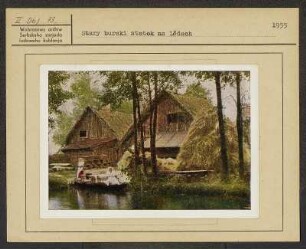 Spreewaldmotiv für Ansichtskarte: Festtagstracht aus dem Spreewald und Landschaft. : Motiw za pohladnicu: Swjedźenska drasta Błótowčankow a Błótowska krajina.