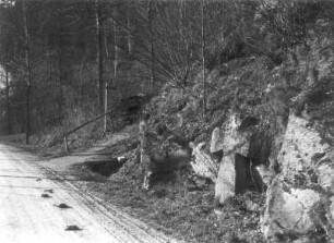 Steinkreuz : Großröhrsdorf, Steinkreuz (Tatzenkreuz; D 199) mit eingeritzten Schwertern an der Müglitztalstraße von Glashütte nach Schlottwitz, am Abzweig des Fußsteigs zum Ort (Km 15,2)