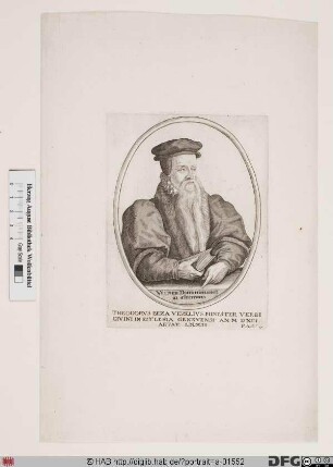 Bildnis Theodor Beza (eig. Théodore de Bèze)