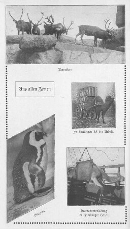 Aus allen Zonen.