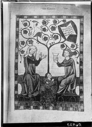 Heidelberg Manesse Handschrift Zeichnung von Buchein