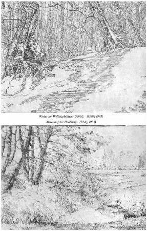 Winter im Wellingsbütteler Gehölz (Uhlig 1993)