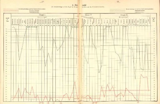 VIII. Anhang (Graphische Darstellungen)