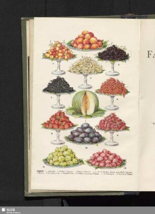 Fruit