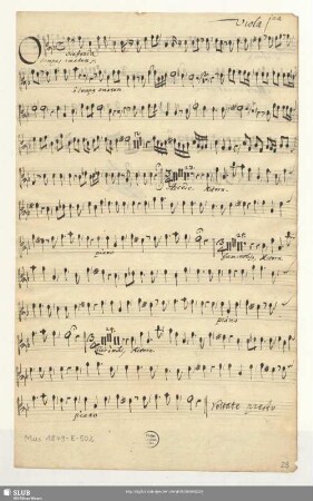 Viola 1ma