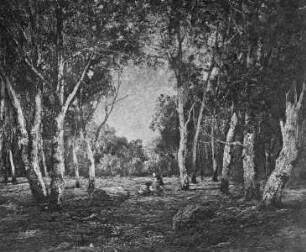 Der Wald von Fontainebleau