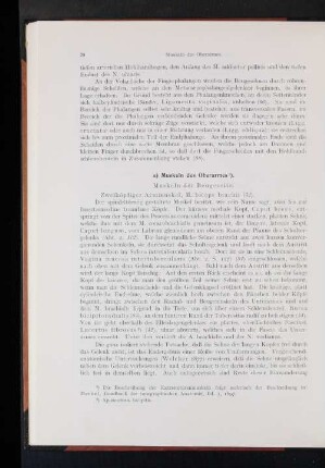 Muskeln des Oberarmes.