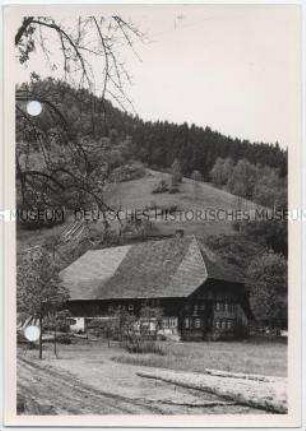 Schwarzwald, Gutachtal